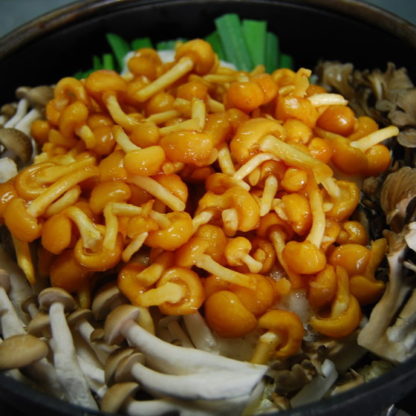 yam&Mushrooms nabe