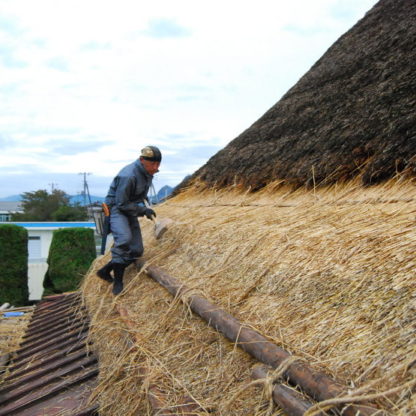 Replacing thatched roof.