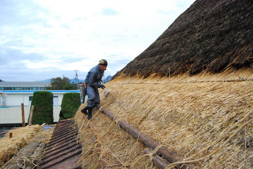 Replacing thatched roof.
